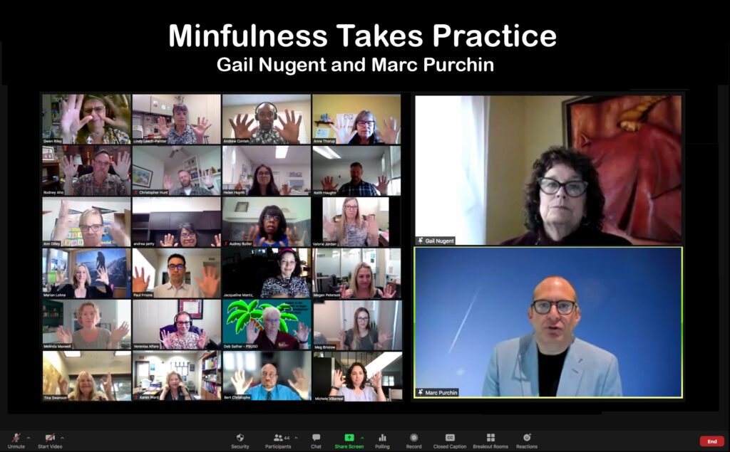 Marc Purchin and Gail Nugent facilitate a training titled "Mindfulness Take Practice" on Zoom.